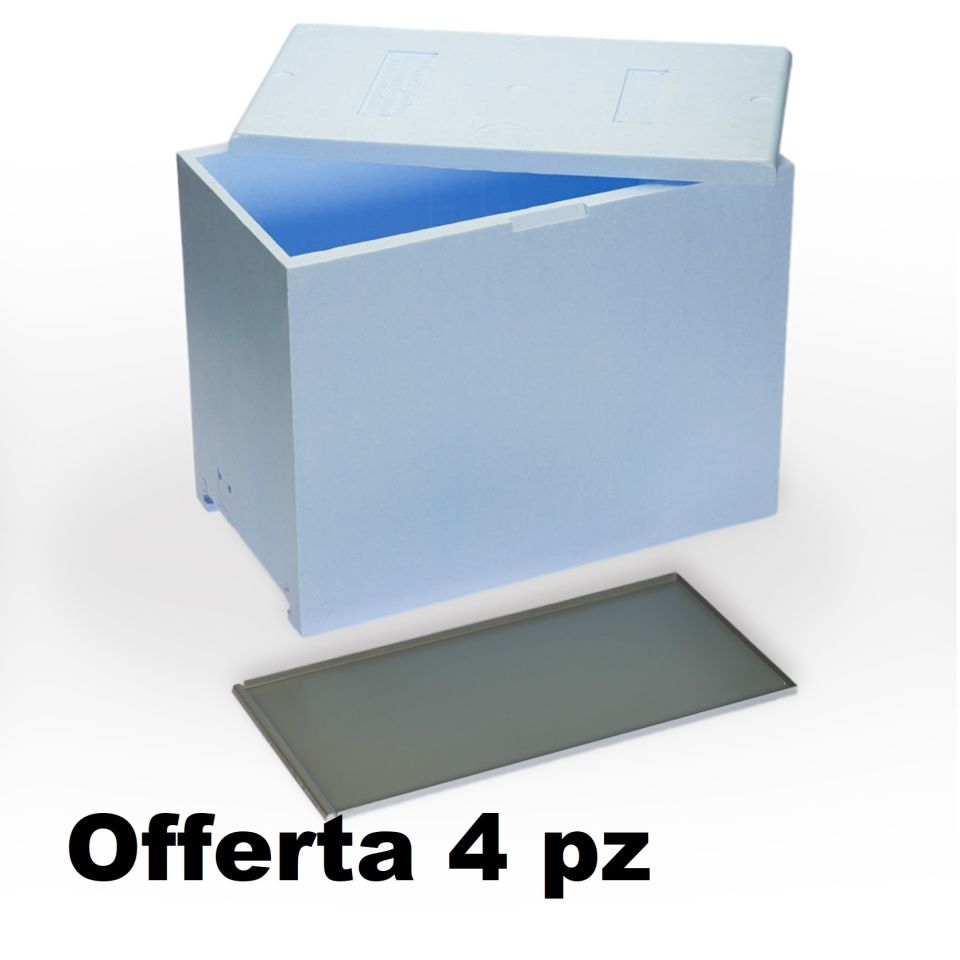 4 ARNIE La 6 favi fondo rete totale con guide