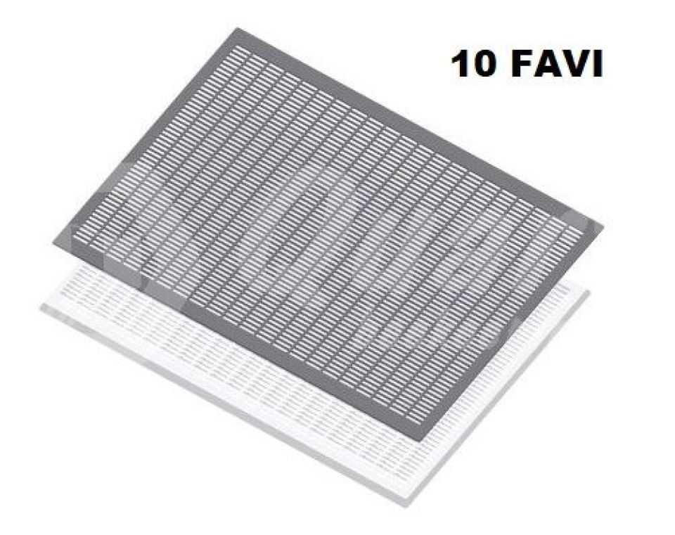 ESCLUDI REGINA 10 favi